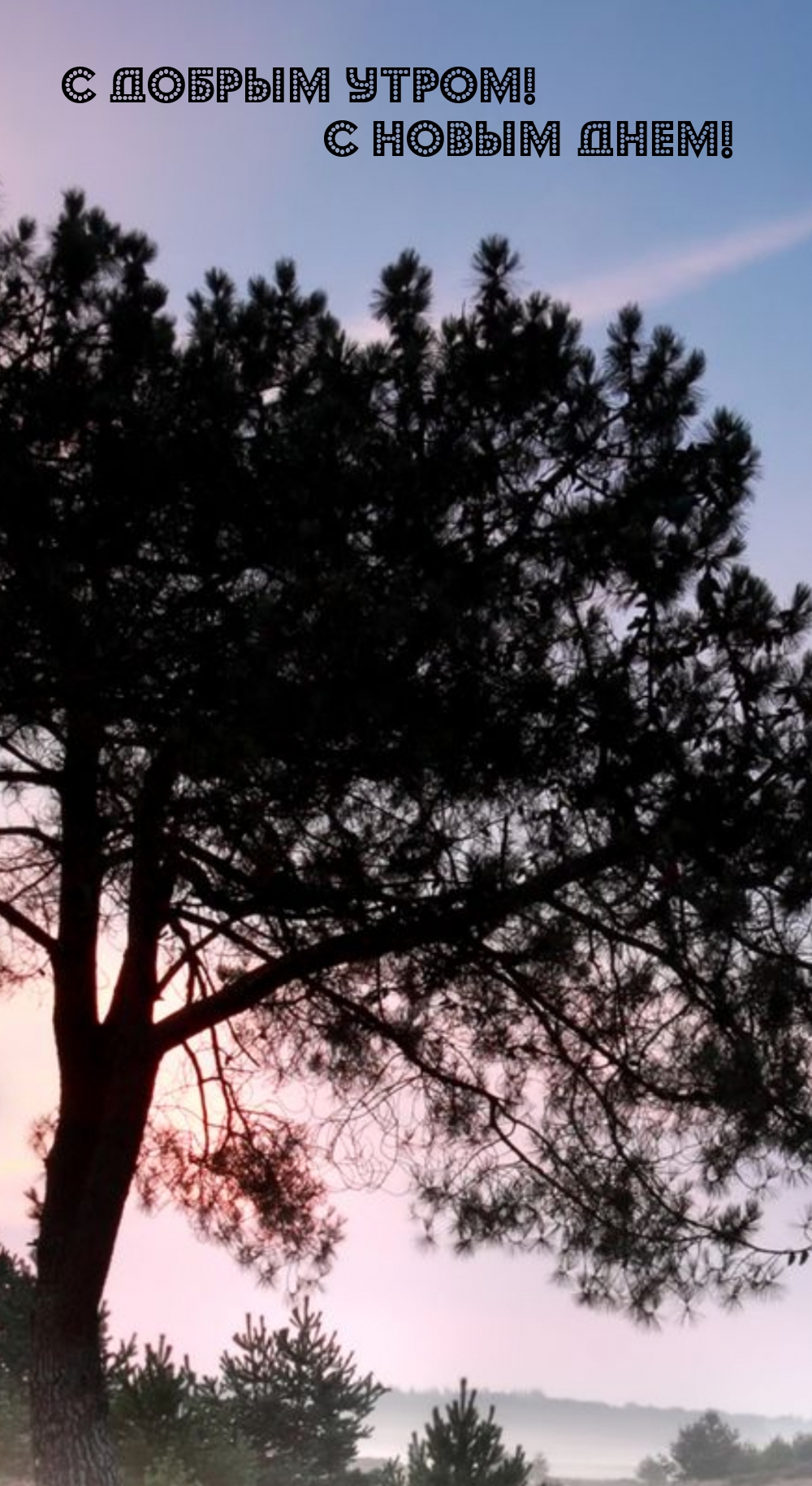 С добрым утром! С новым днем!