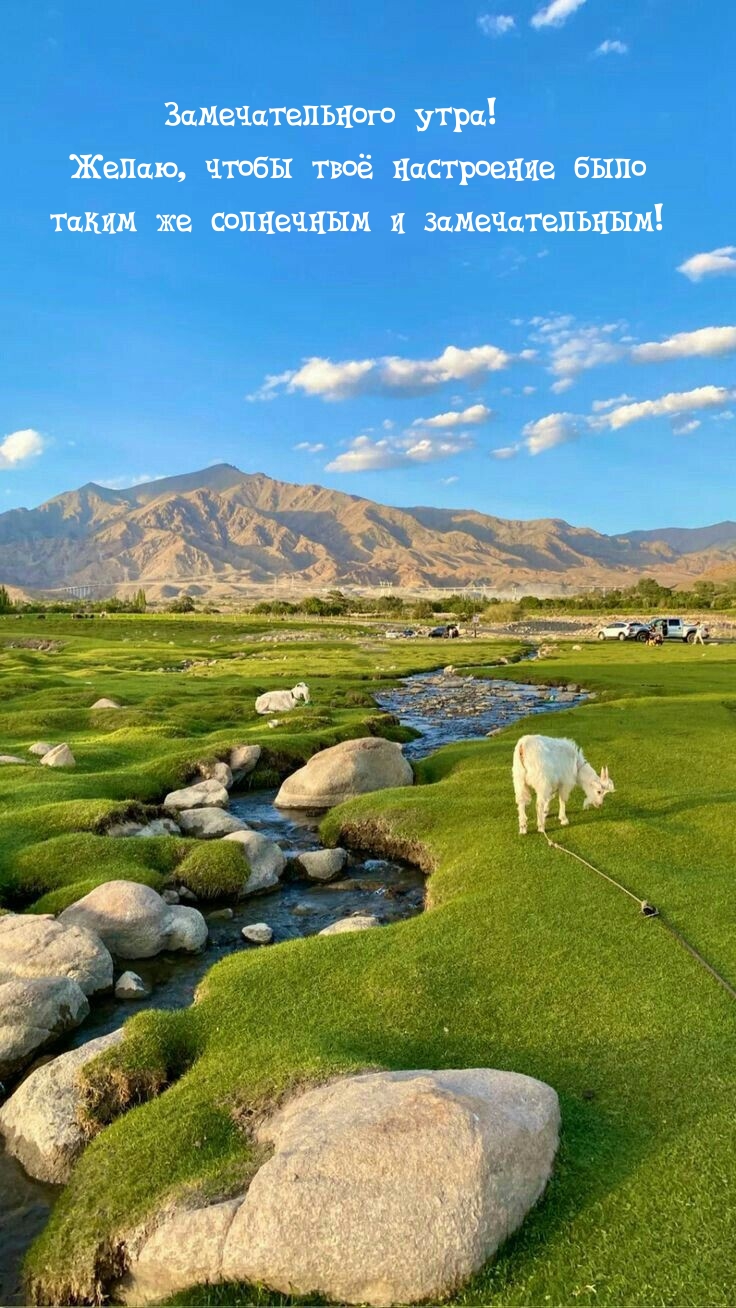 Замечательного утра! Чтобы твое настроение было таким же солнечным