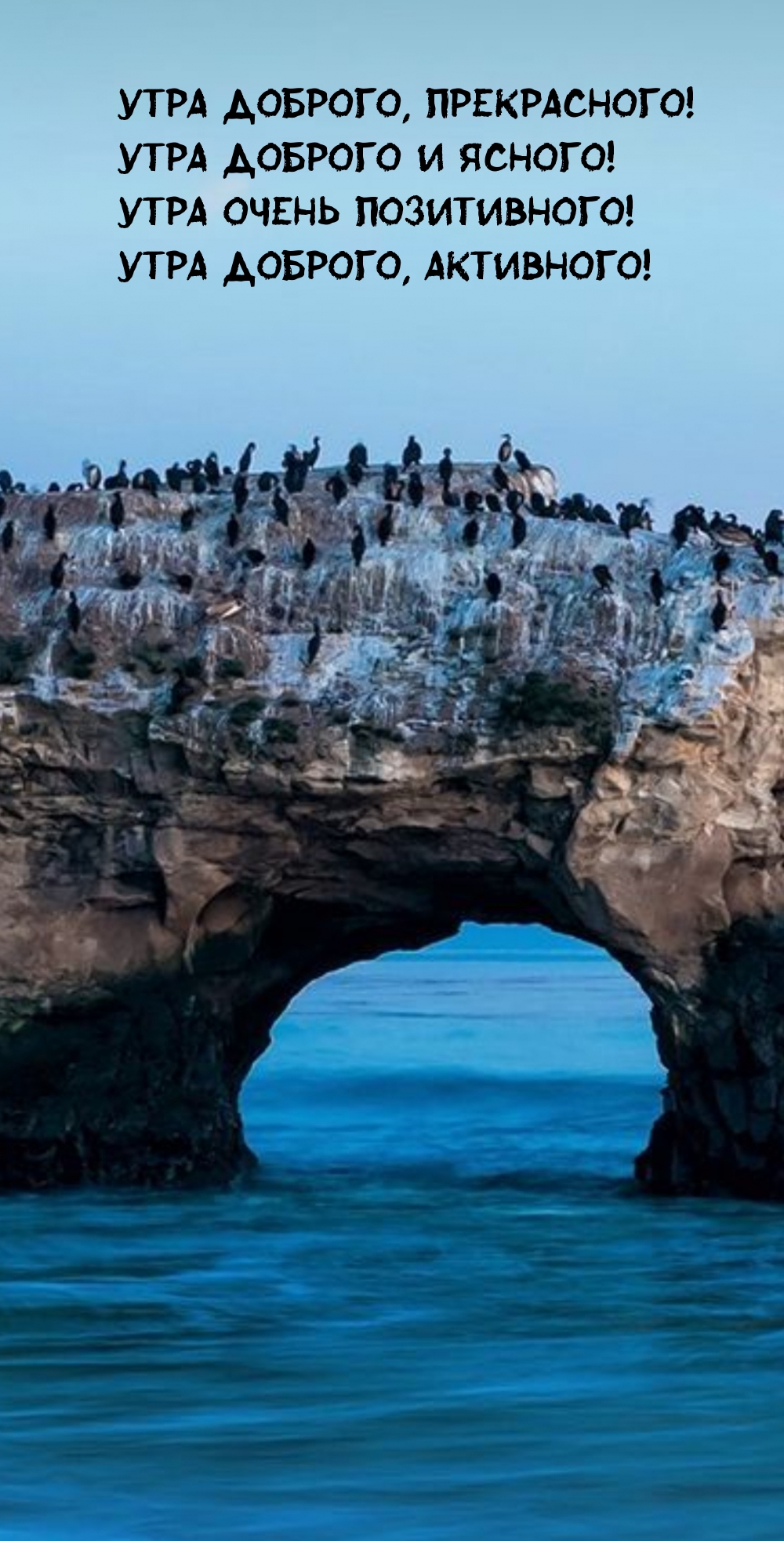 Утра доброго, прекрасного! Утра доброго и ясного!