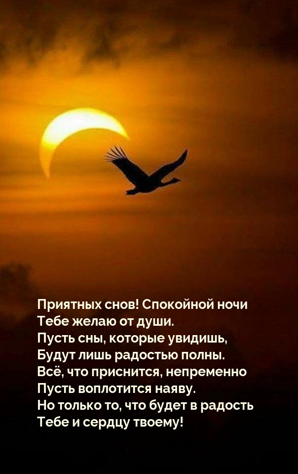 Приятных снов! Спокойной ночи тебе желаю от души.