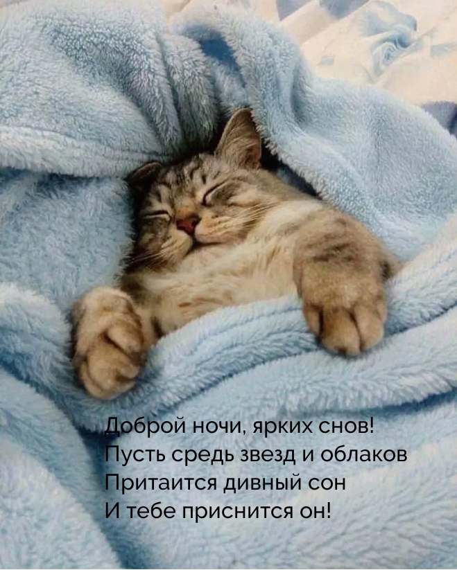 Доброй ночи, ярких снов! Пусть средь звезд притаится дивный сон