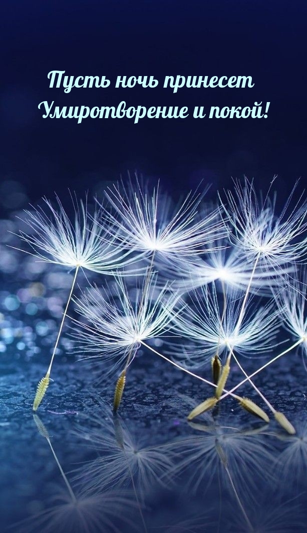 Пусть ночь принесет Умиротворение и покой!