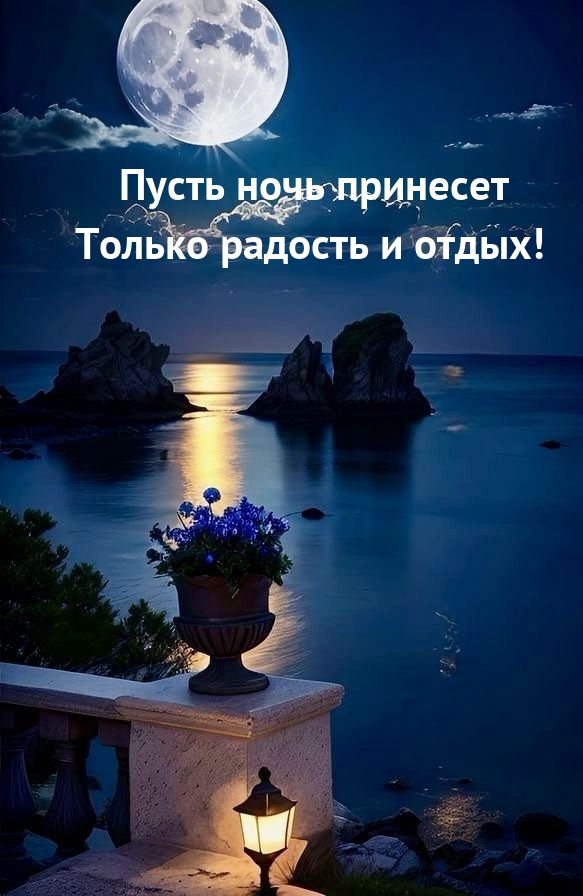 Пусть ночь принесет только радость и отдых!