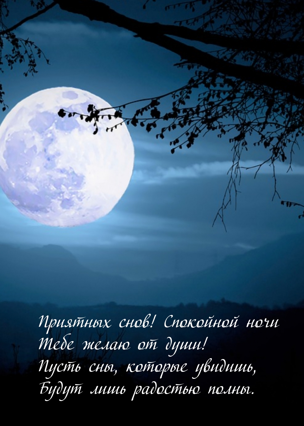 Приятных снов! Спокойной ночи тебе желаю от души!