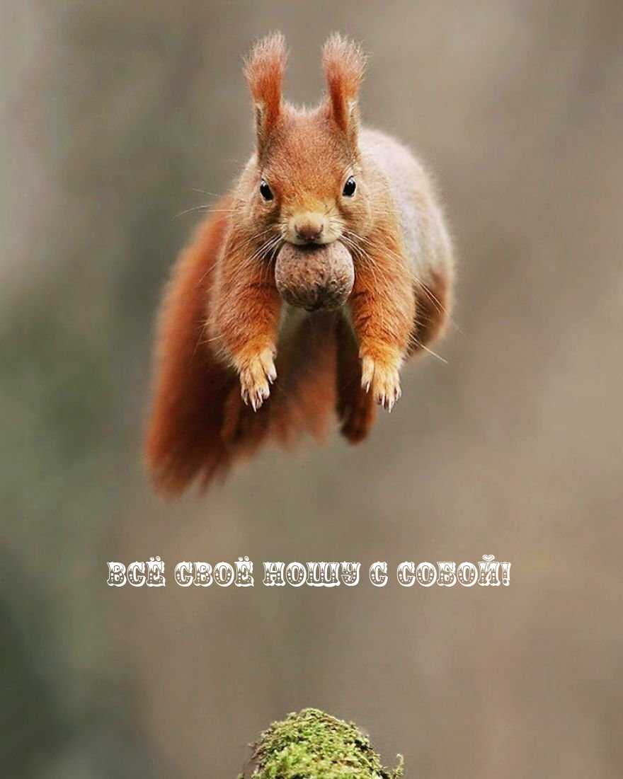 Всё своё ношу с собой!