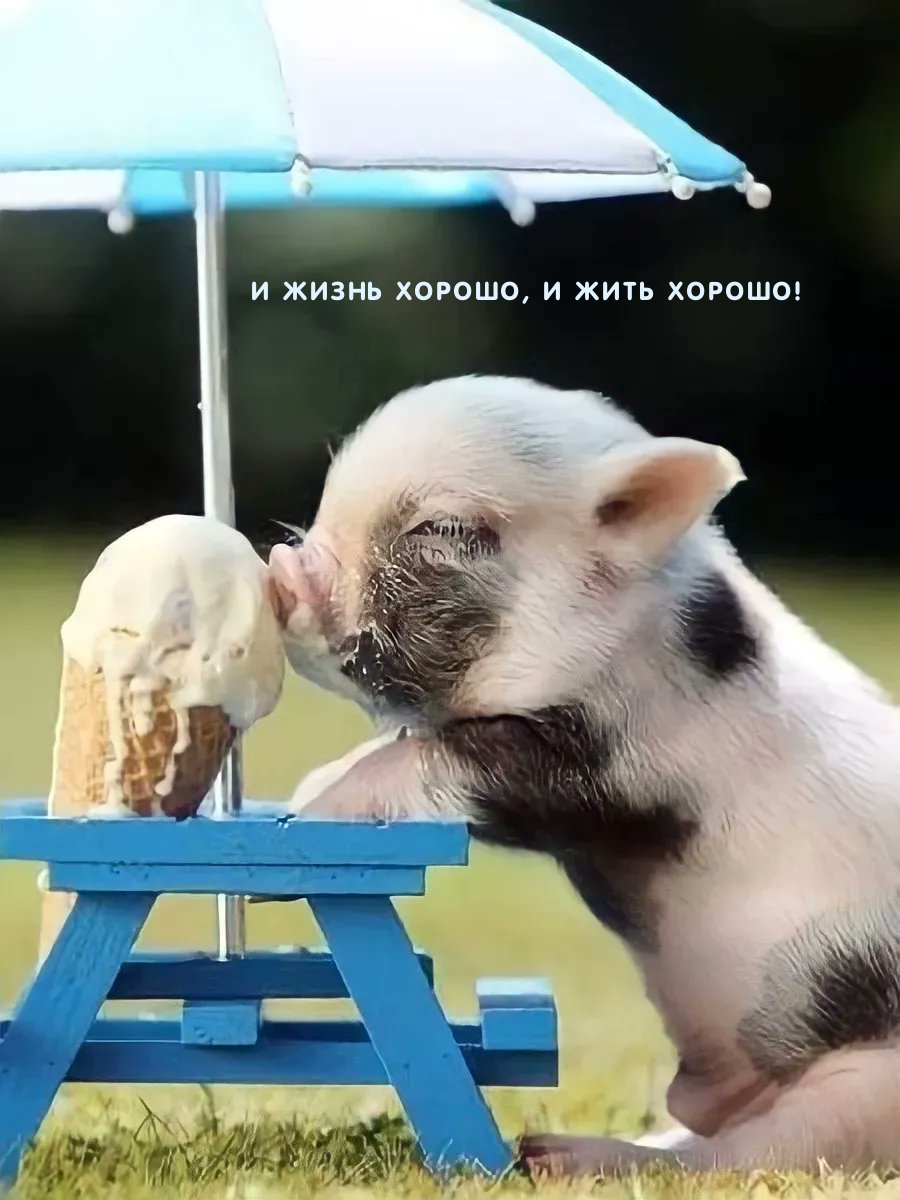 И жизнь хорошо, и жить хорошо!