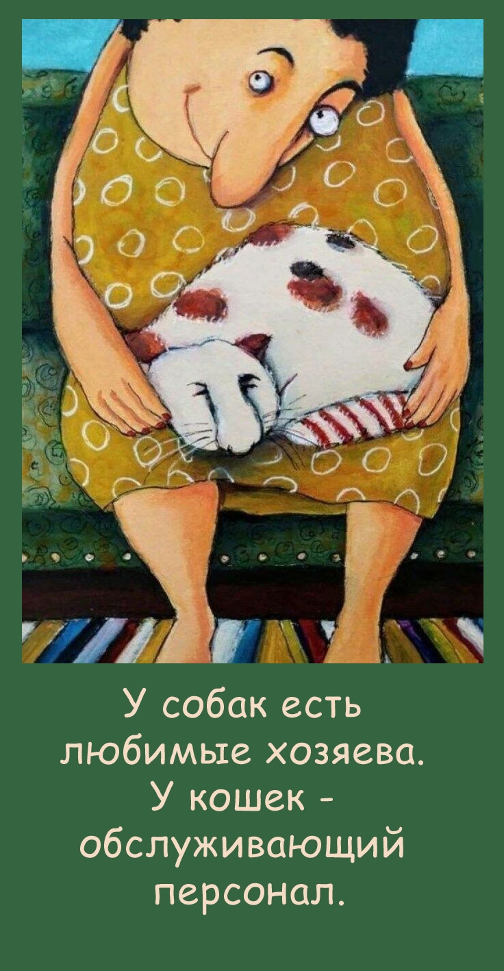 У собак есть любимые хозяева. У кошек — обслуживающий персонал.