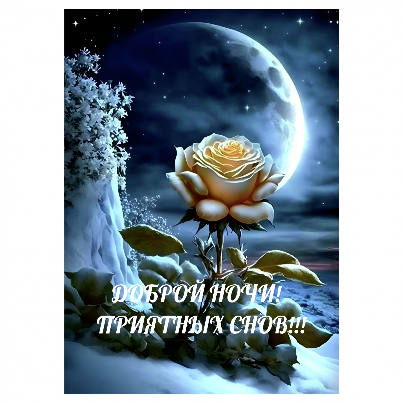 Доброй ночи! Приятных снов!