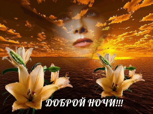 Доброй ночи!
