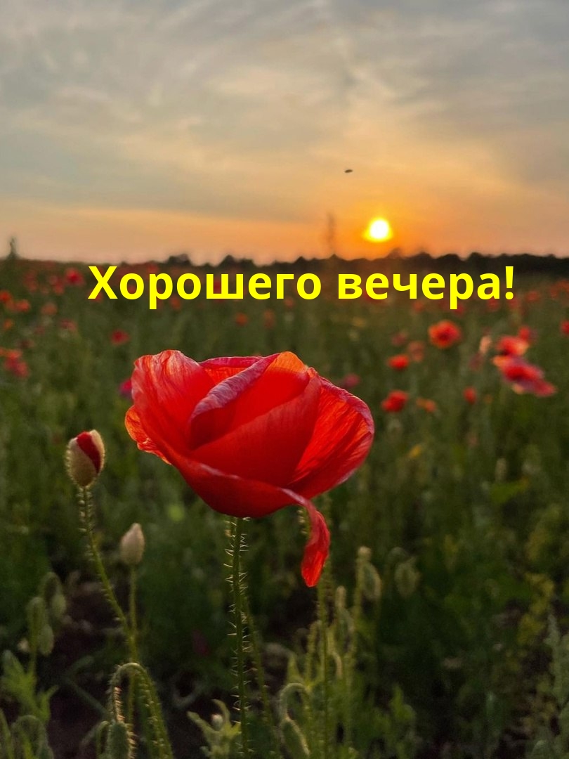 Хорошего вечера!