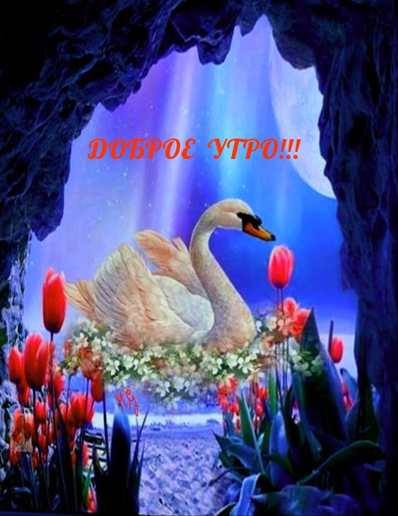 Доброе утро!