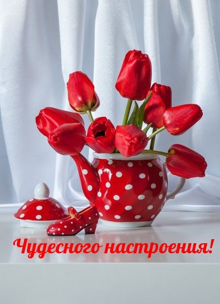 Чудесного настроения!