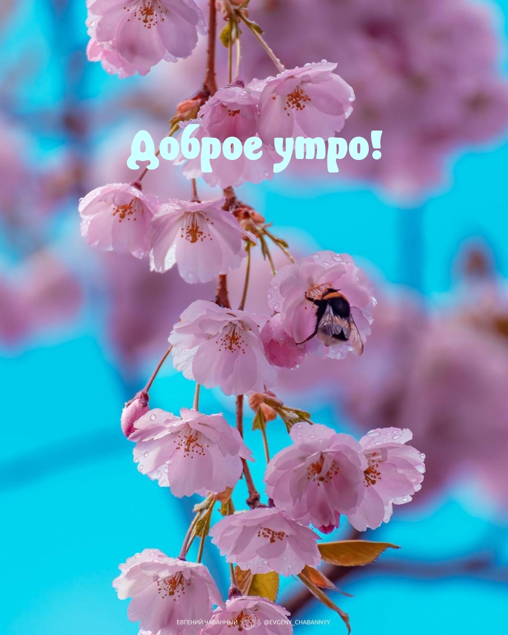Доброе утро!