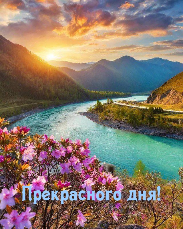 Прекрасного дня!