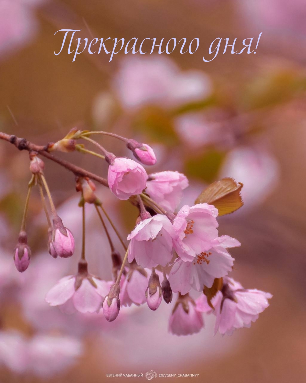 Прекрасного дня!