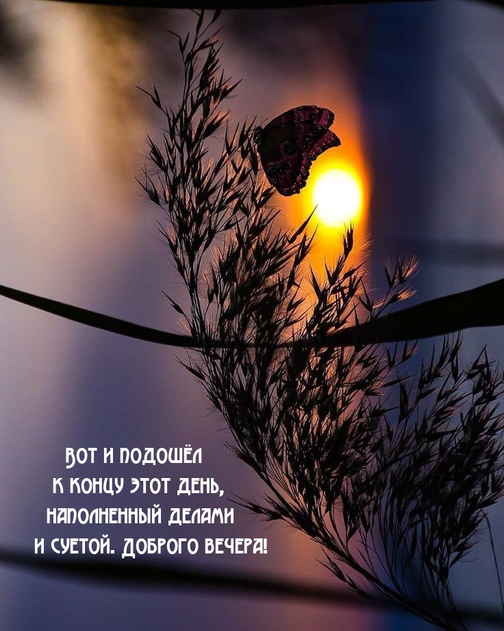 Вот и подошёл к концу этот день, наполненный делами  и суетой.
