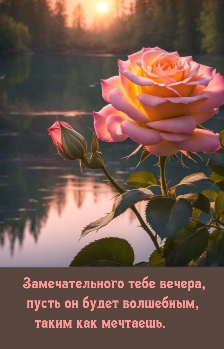 Замечательного тебе вечера, пусть он будет волшебным