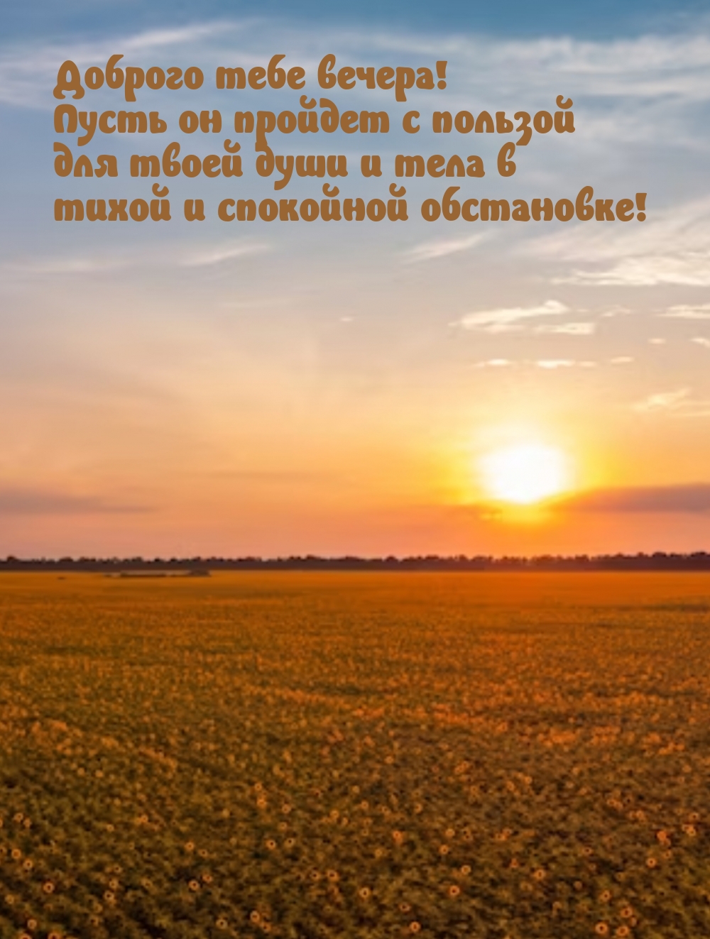 Доброго тебе вечера! Пусть он пройдет с пользой для твоей души