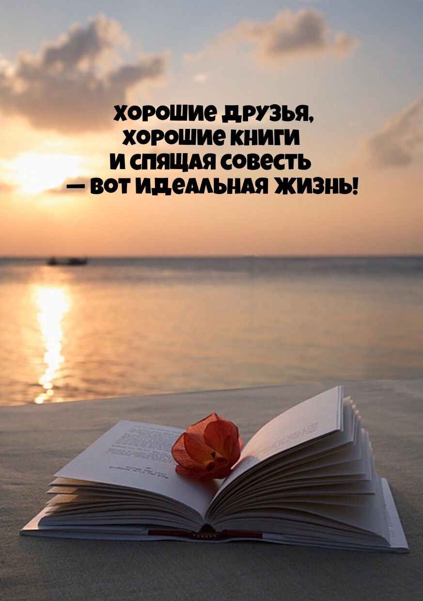 Хорошие друзья, хорошие книги и спящая совесть — вот идеальная жизнь!