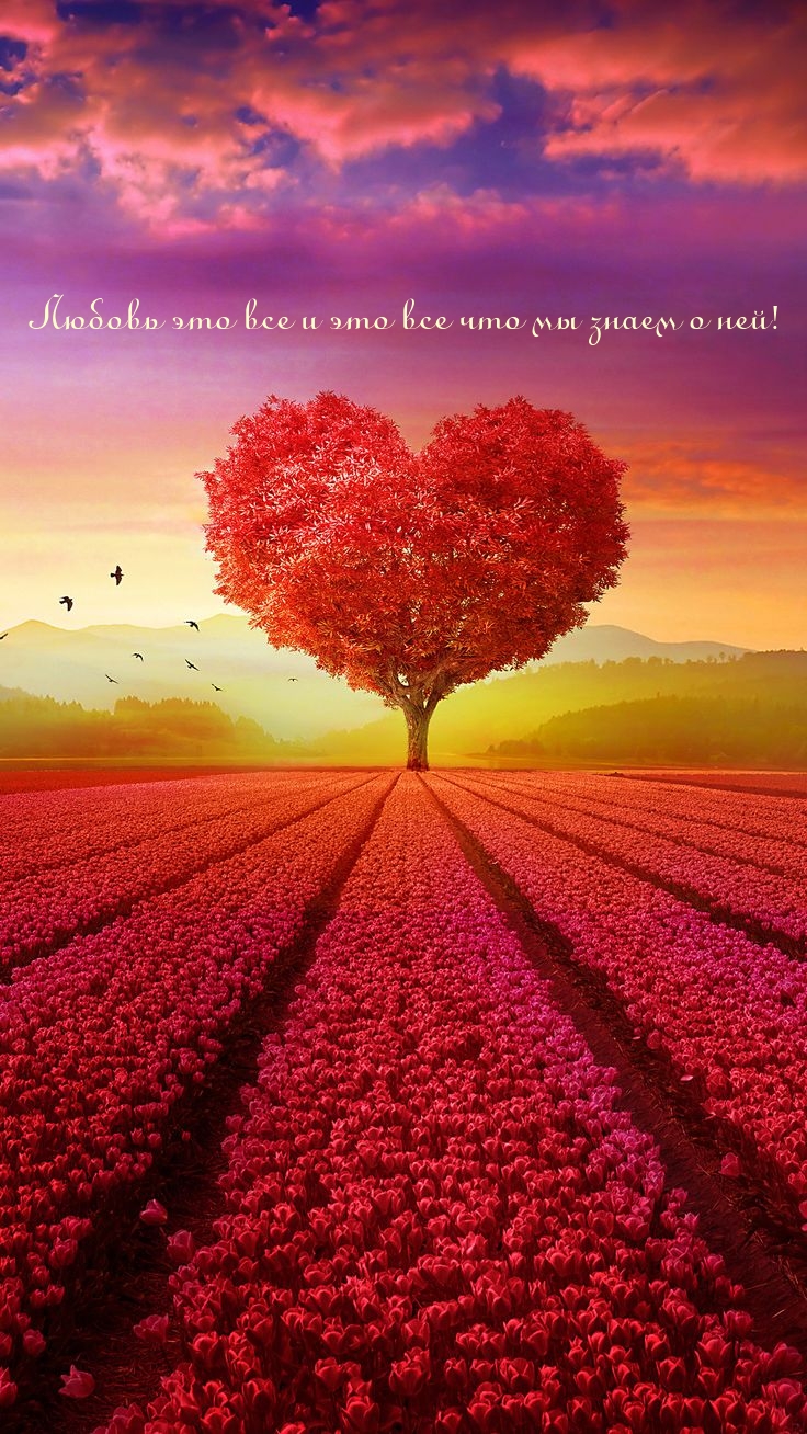 Любовь это все и это все что мы знаем о ней!