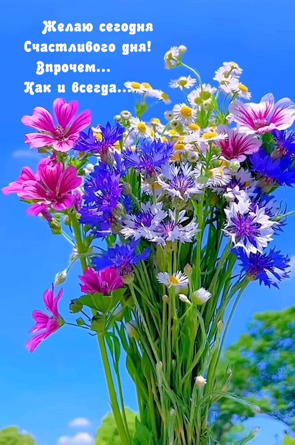 Желаю сегодня счастливого дня! Впрочем… Как и всегда…