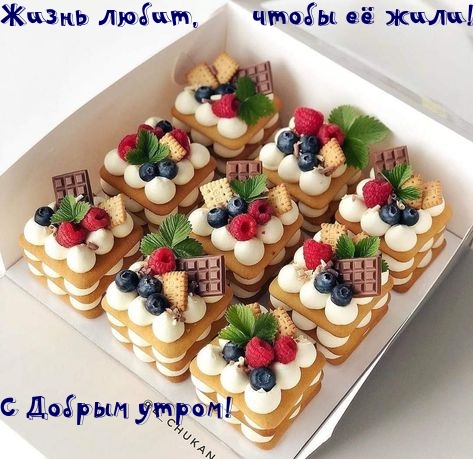 Жизнь любит, чтобы её жили! С Добрым утром!