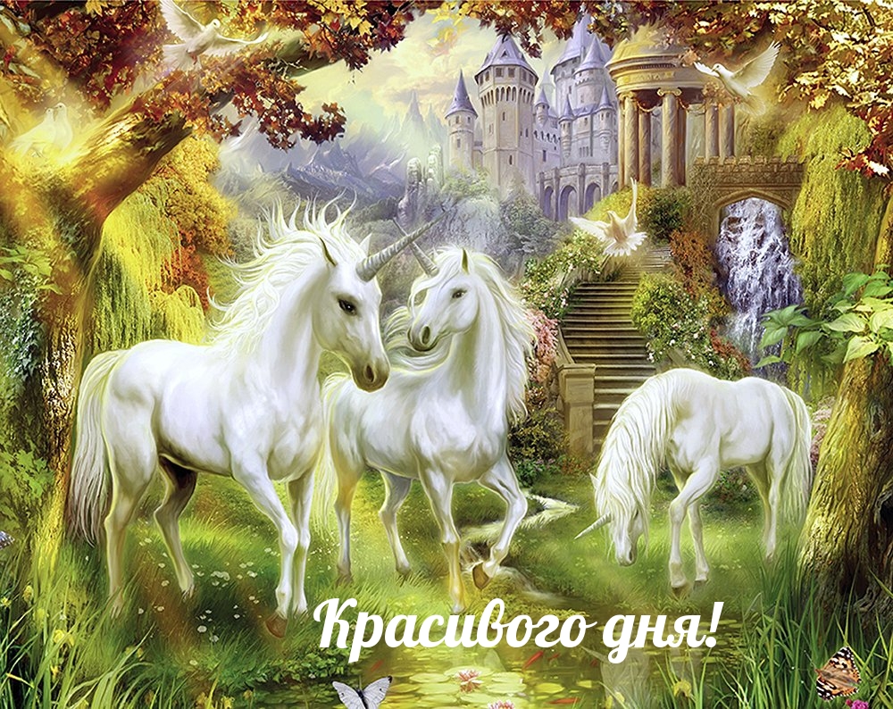 Красивого дня!