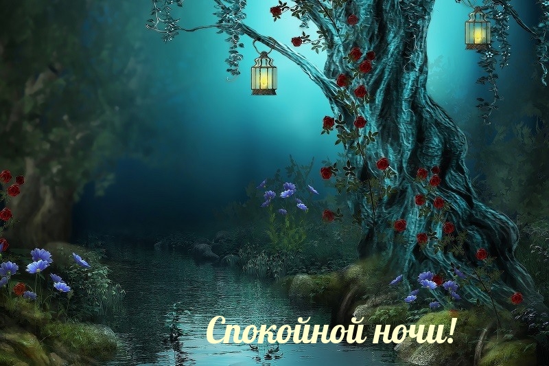 Спокойной ночи!