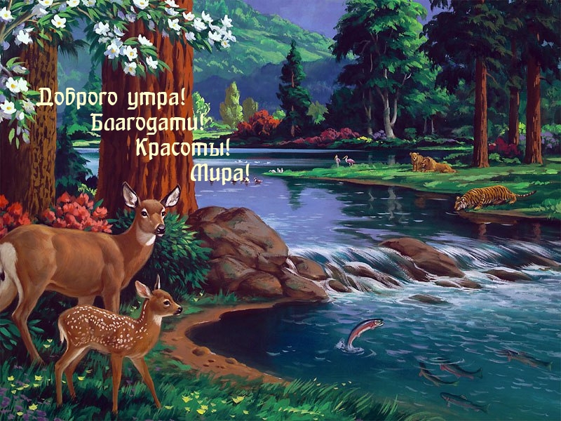 Доброго утра! Благодати! Красоты! Мира!