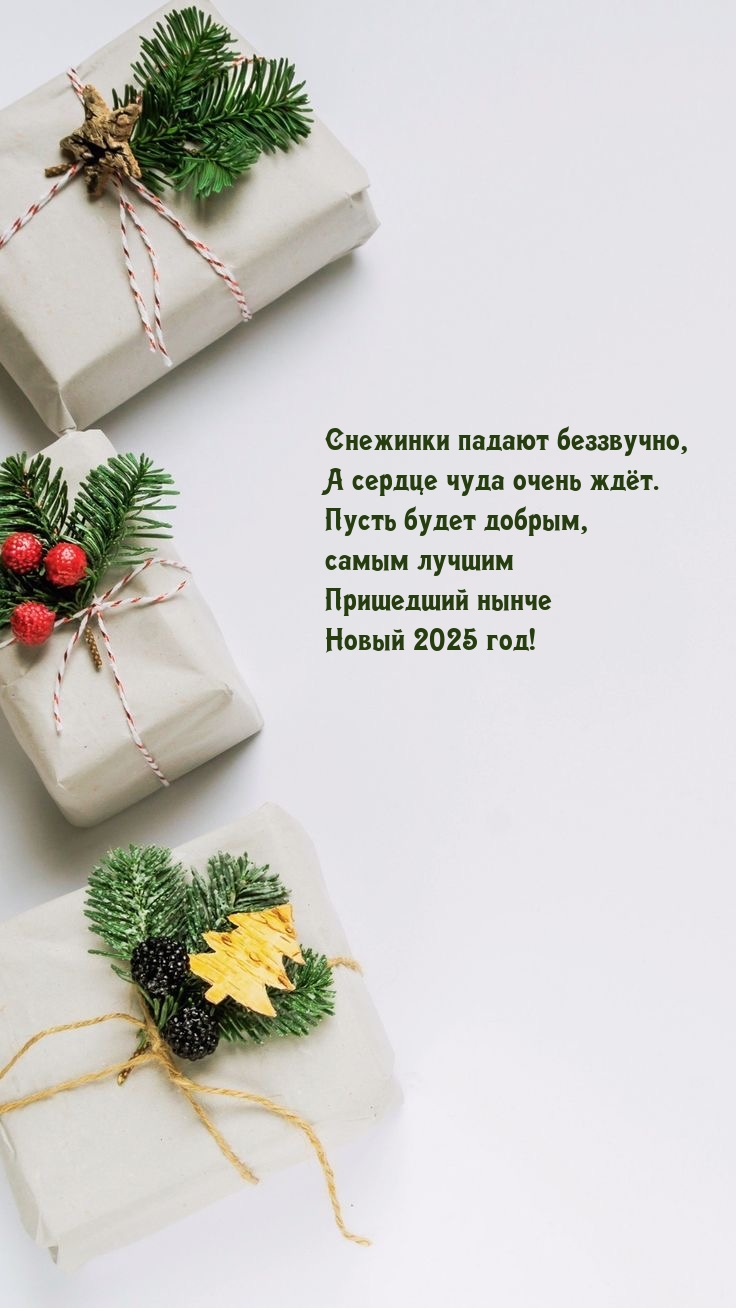 Снежинки падают беззвучно, а сердце чуда очень ждёт. Новый 2025 год!