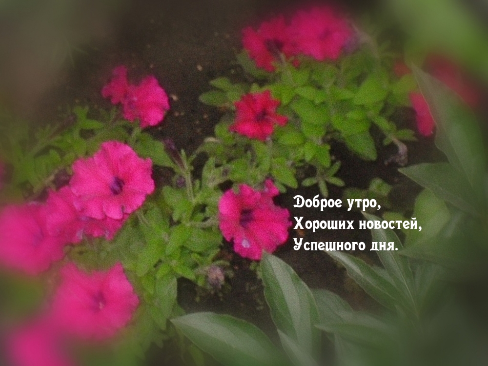 Доброе утро, Хороших новостей, Успешного дня.