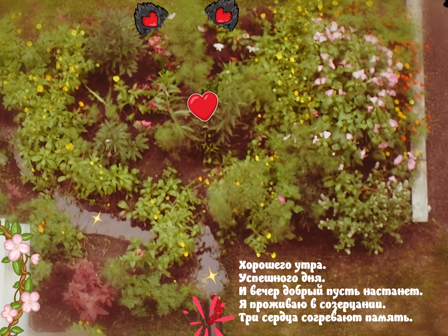 Хорошего утра. Успешного дня. И вечер добрый пусть настанет.