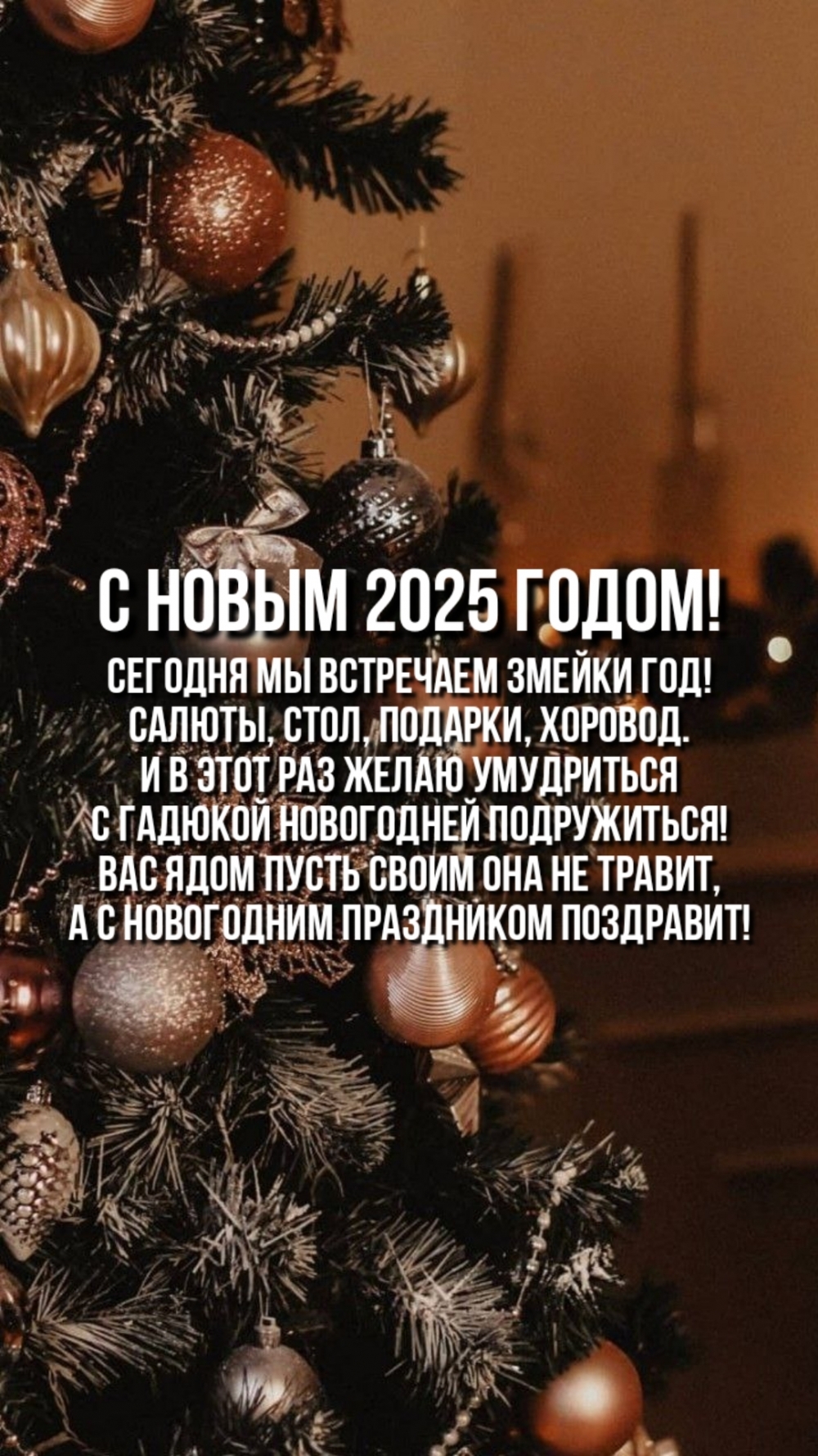 Сегодня мы встречаем Змейки год! Салюты, стол, подарки, хоровод.