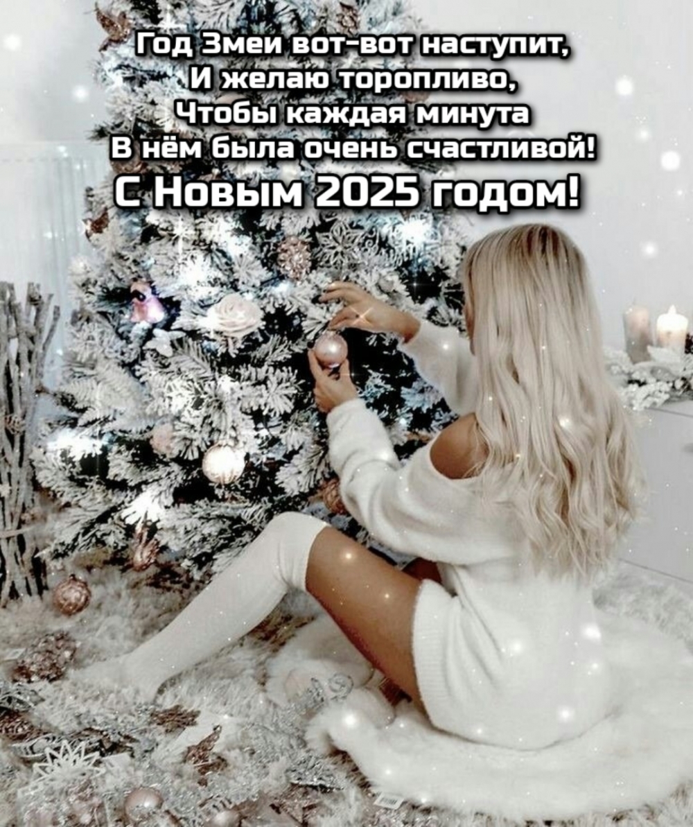 С Новым 2025 годом! Год Змеи вот-вот наступит
