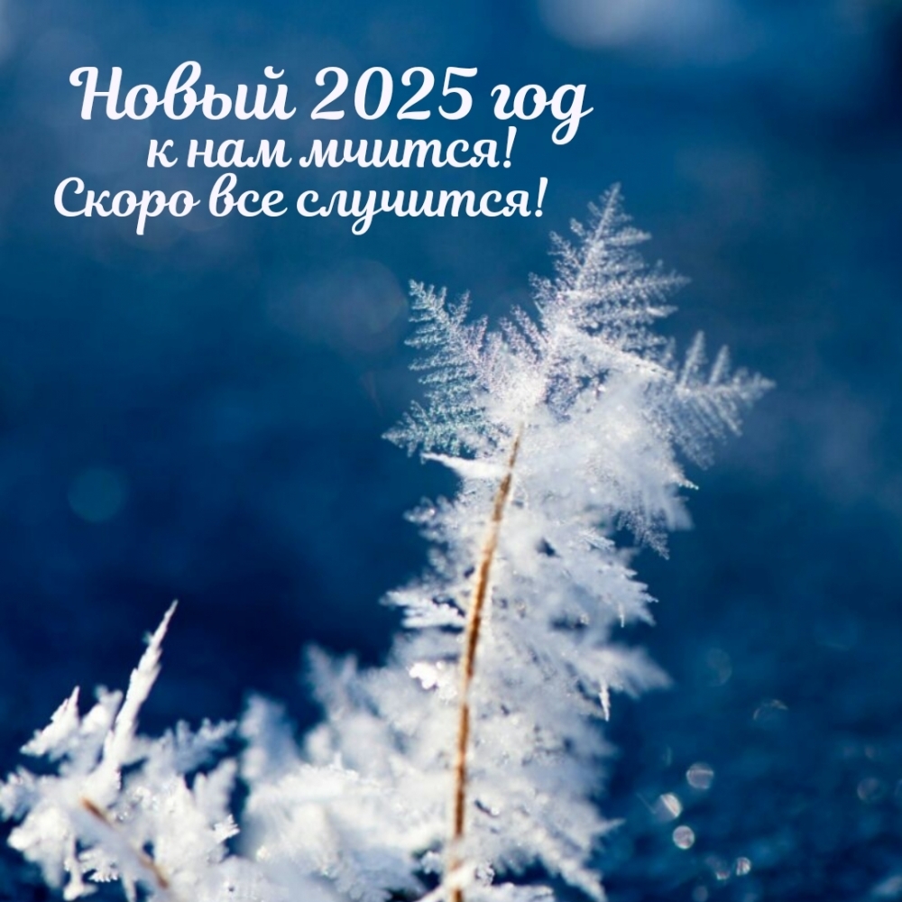 Новый 2025 год к нам мчится! Скоро все случится!