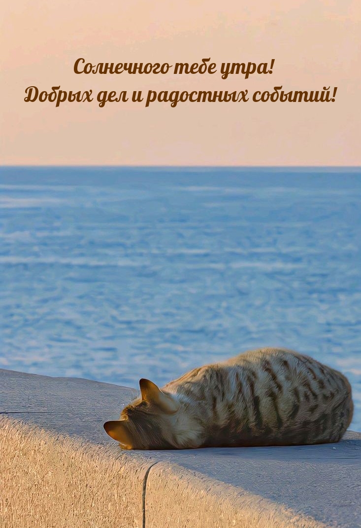 Солнечного тебе утра! Добрых дел и радостных событий!