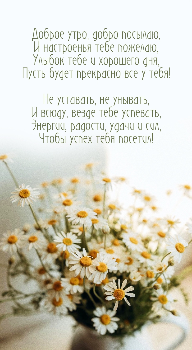 Доброе утро, добро посылаю, и настроенья тебе пожелаю