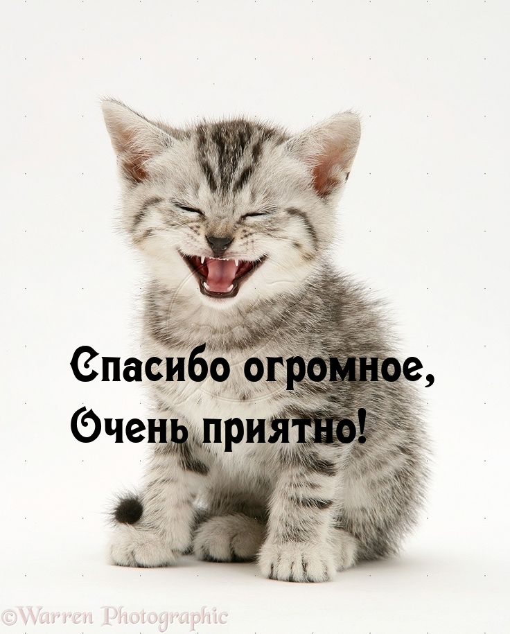 Спасибо огромное, Очень приятно!