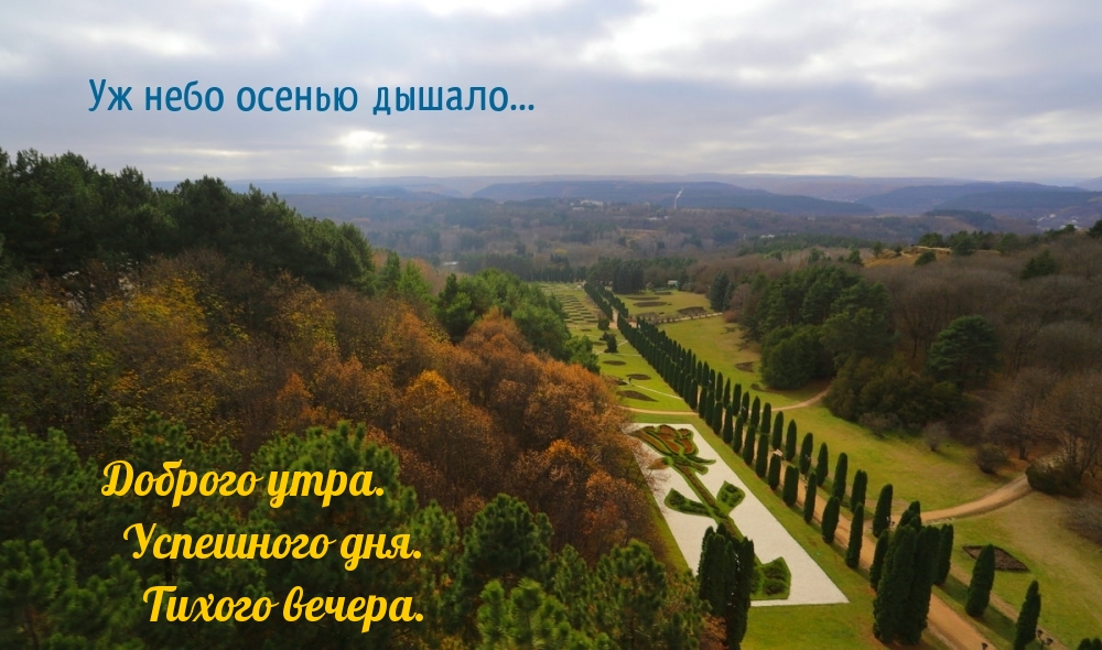 Доброго утра. Успешного дня. Тихого вечера.