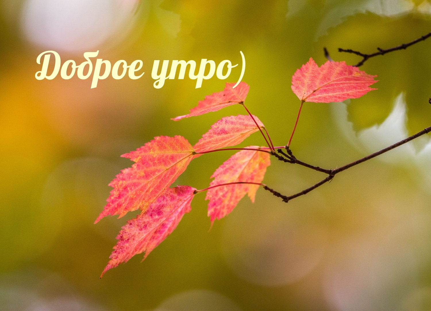 Доброе утро)