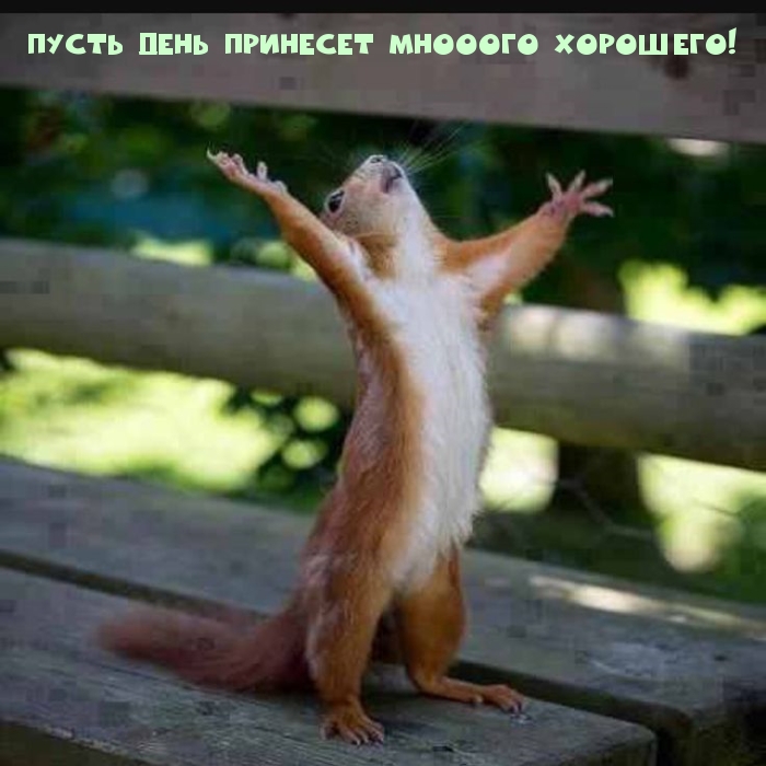 Пусть день принесет мнооого хорошего!