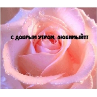 С ДОБРЫМ УТРОМ, ЛЮБИМЫЙ!