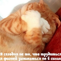 Нет сил даже на фигню