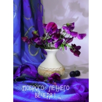 Доброго летнего вечера!