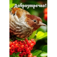 Доброутречко!