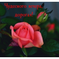 Чудесного вечера, дорогая!