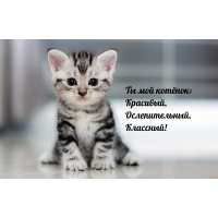 Ты мой котёнок