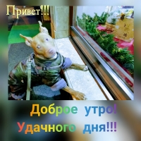 Привет! Доброе утро!
