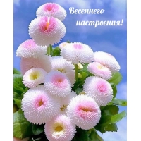 Весеннего настроения!