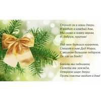 Спешит к нам Дед Мороз с мешком подарков!